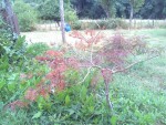 rps20190728_171145.jpg