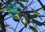 DSC00475.JPG