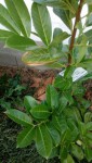 IMG_20190731_184013.jpg