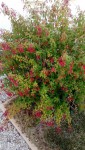 IMG_20190804_084042.jpg