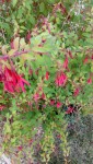 IMG_20190804_084052.jpg