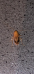 56213B01-5F78-4C22-B6E7-6115C12FC202.png