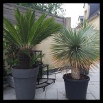 rps20190805_114721.jpg