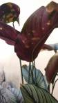 2019_08_06_124011.png