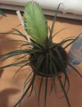 20190728_032358.jpg