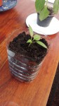 thumbnail_IMG_20190807_182448.jpg