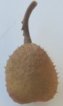 Screenshot_20190808-120740_Gallery.jpg
