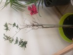 20190808_122531_compress29.jpg