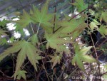 IMG20190813_174855.jpg1.jpg