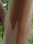 20190815_185140.jpg