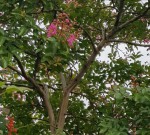 20190815_185803.jpg