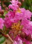 20190815_185822.jpg