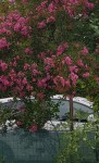 20190815_185841.jpg
