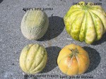 ob_d19e5a_collection-de-melons-2013.jpg