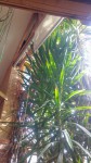 20180214_154829_compress13.jpg