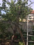IMG_0089.JPG