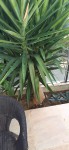 received_2342087935912730.jpeg