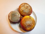 Nectarines gâtées.JPG