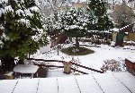 jardin.jpg