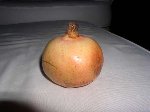 P1010077.JPG