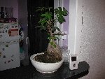 test.JPG