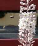 IMG_20190829_184110~01.jpg