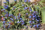 DSC02257.jpg