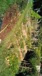 IMG_20190901_120612_270.jpg