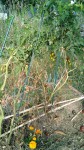 IMG_20190901_120339_052.jpg