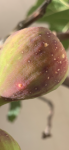 87C65103-AD8B-42AB-952F-D20C3403FCC1.png