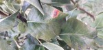 20190905_163351 (311x640).jpg