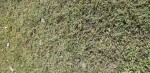 20190903_143736 (311x640).jpg