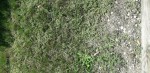 20190903_143756 (311x640).jpg