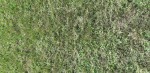 20190903_143819 (311x640).jpg