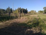 IMG_20170326_174000.jpg