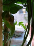 IMG_20190911_190028.jpg