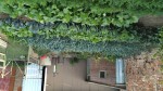 Optimized-IMG_20190914_183448.jpg
