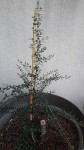 20190915_081853.jpg