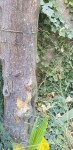 20190916_170943.jpg