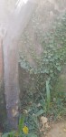 20190916_170948.jpg