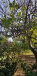 20190916_171004.jpg