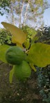 20190916_171011.jpg