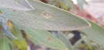 20190914_150735.jpg