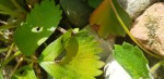 20190914_150835.jpg
