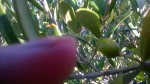 WP_20190920_11_02_26_Pro.jpg