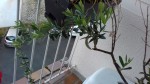 La mono branche2.jpg