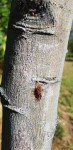 20190927_161002.jpg