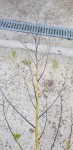 20190927_160015.jpg