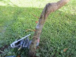 IMG_1807.JPG