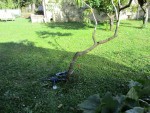 IMG_1806.JPG